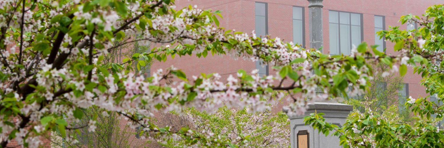 CT Center For Entrepreneurship & Innovation (CCEI)'s banner