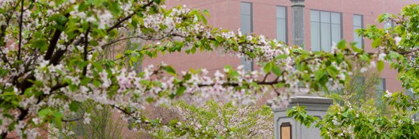 UConnCCEI Profile Banner