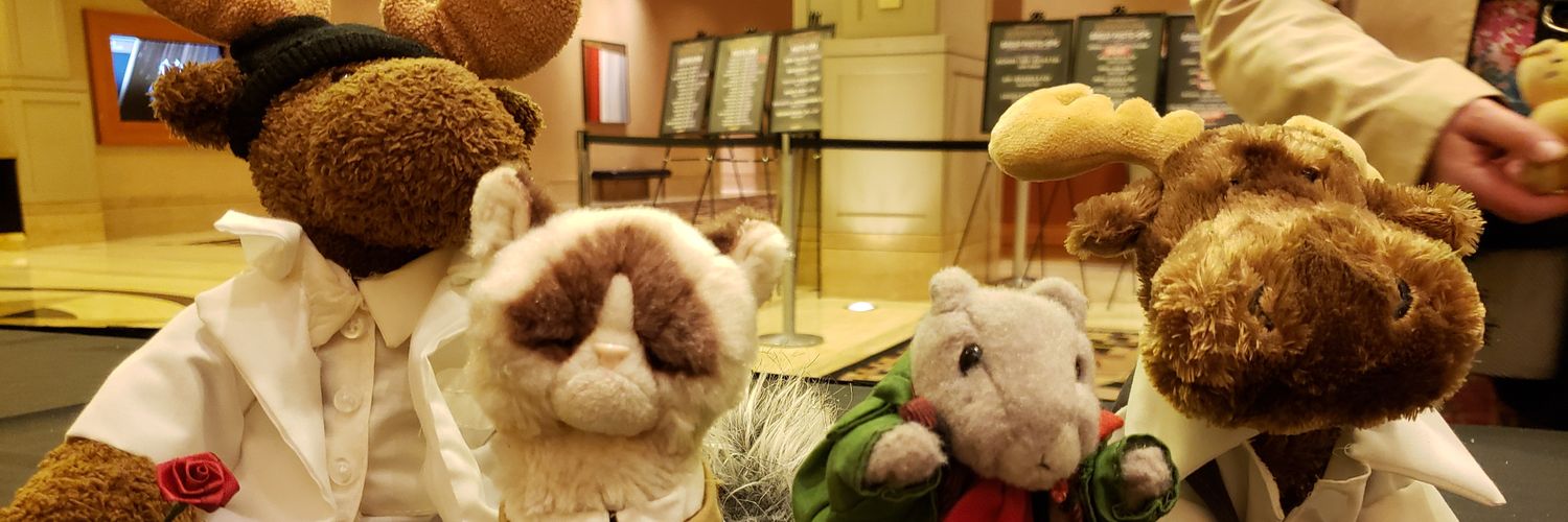 MooseSquirrel1's profile banner image