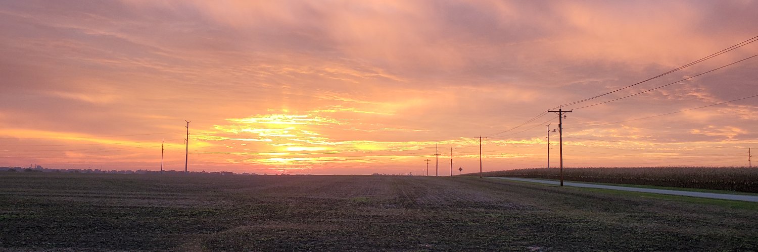 datasorter's profile banner image