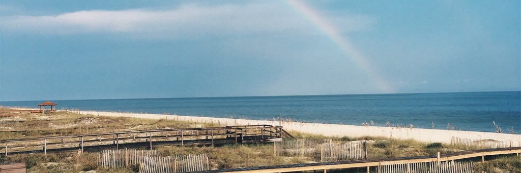 madeline_pool's profile banner image