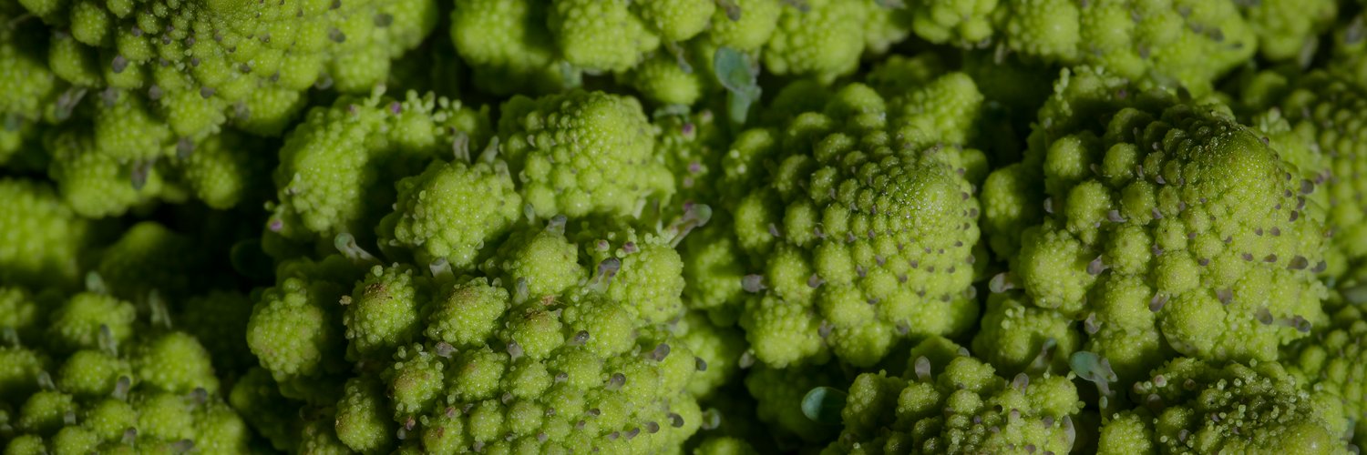 Jane Clark Research banner