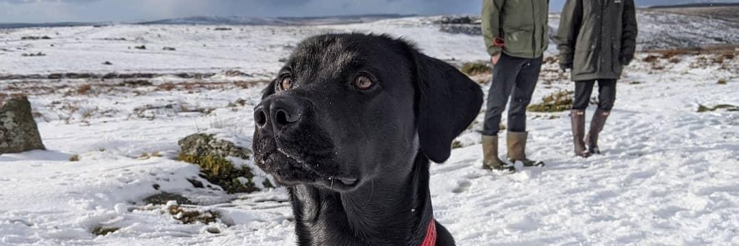 DugShirley's profile banner image
