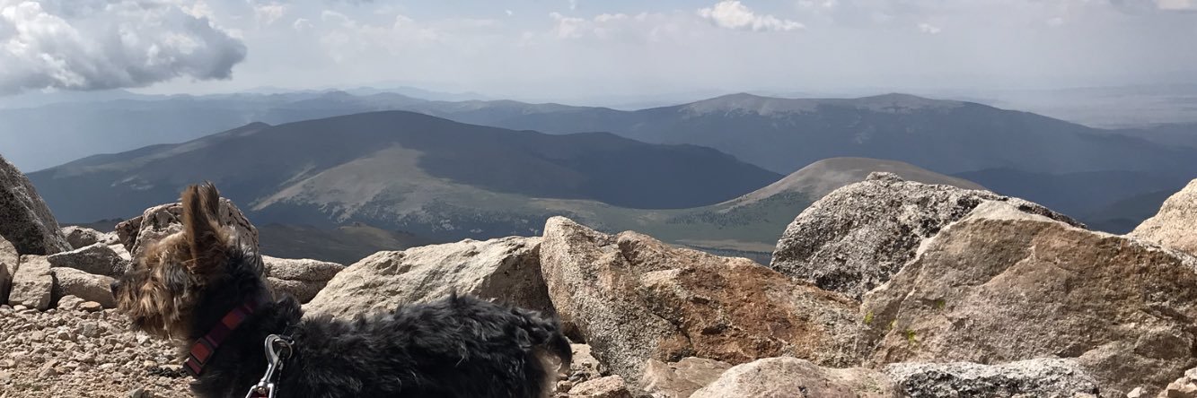 jlebow22's profile banner image