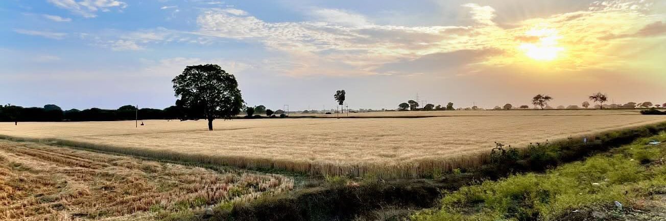 Rohit Chhonkar banner