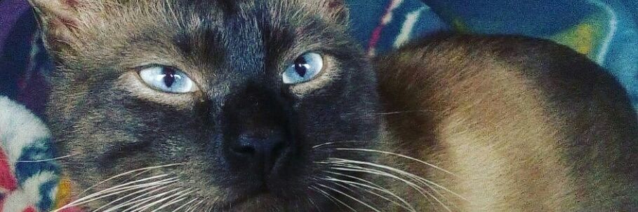 Pablo_SM7's profile banner image