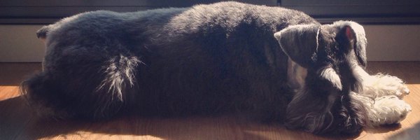 SocAnaB Profile Banner