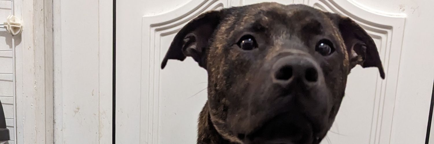 MegaGiddyDee's profile banner image