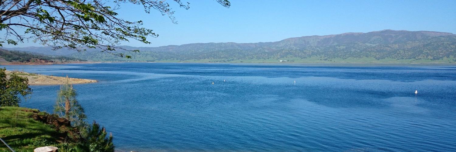 David Mann 🇺🇸🇪🇺 banner