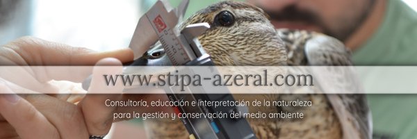 StipaAzeral Profile Banner