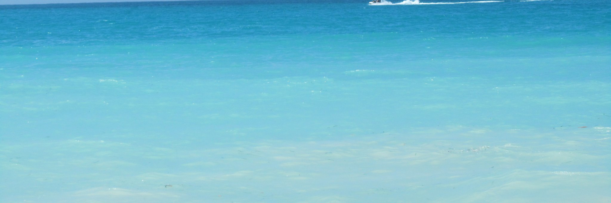 fara827's profile banner image