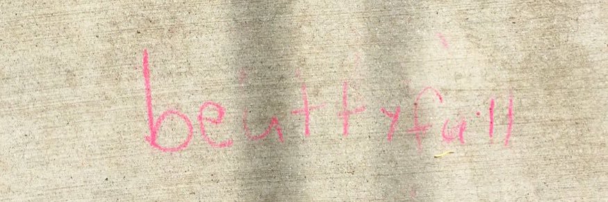 tittylizard's profile banner image