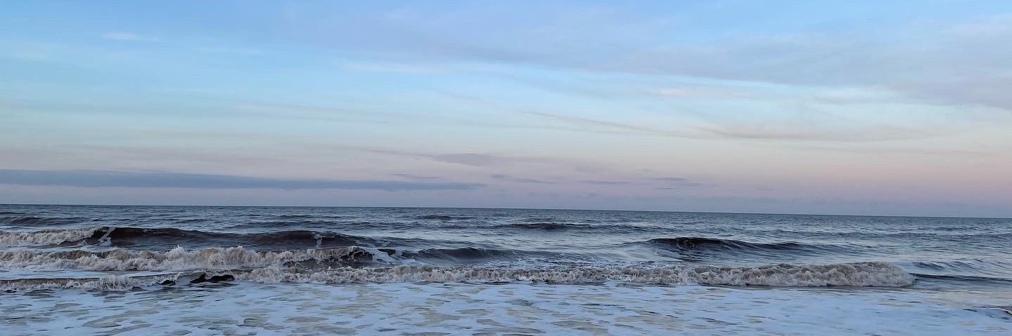 amelia_rivett's profile banner image