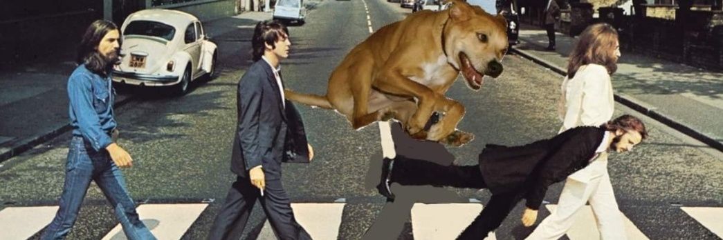 TheBrainOfHarry's profile banner image