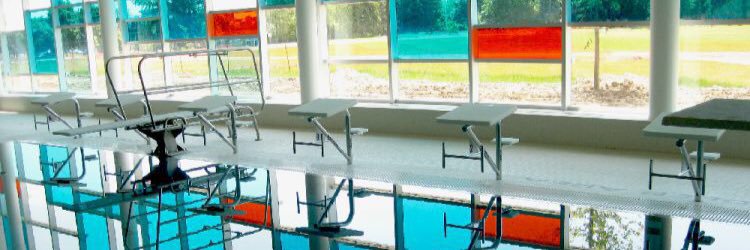 edss_swim's profile banner image