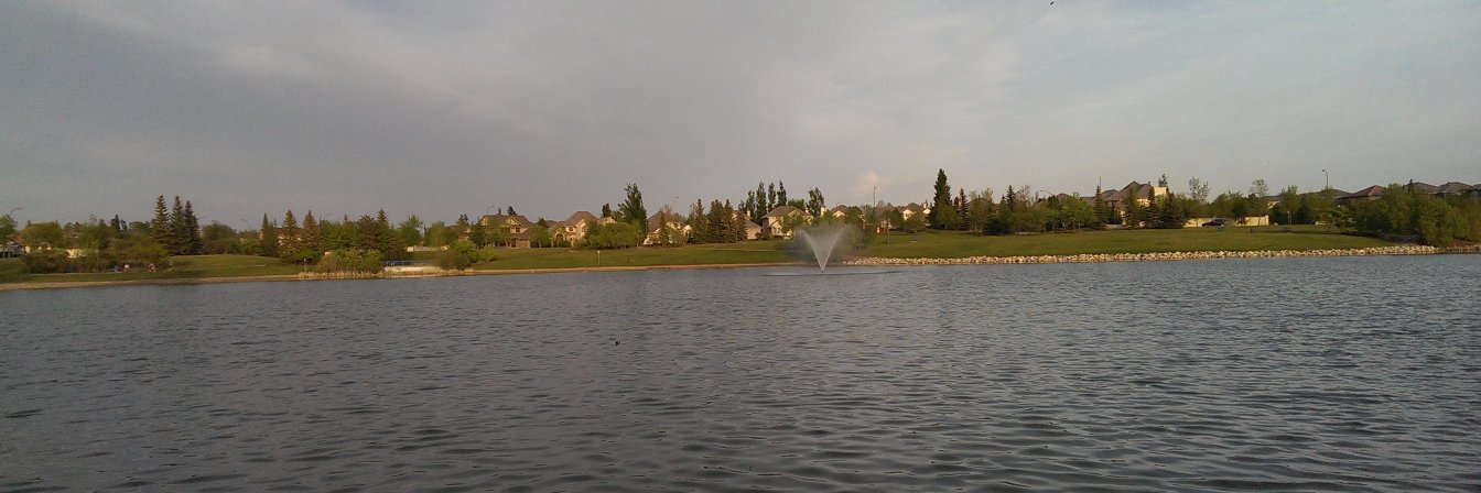 Mohamed Elshamy banner