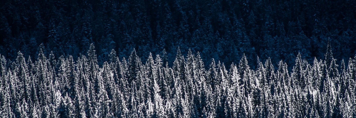 ernanmx's profile banner image