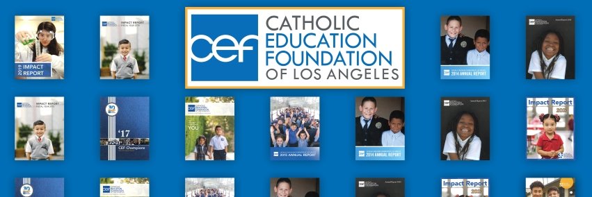 CEFDN's profile banner image