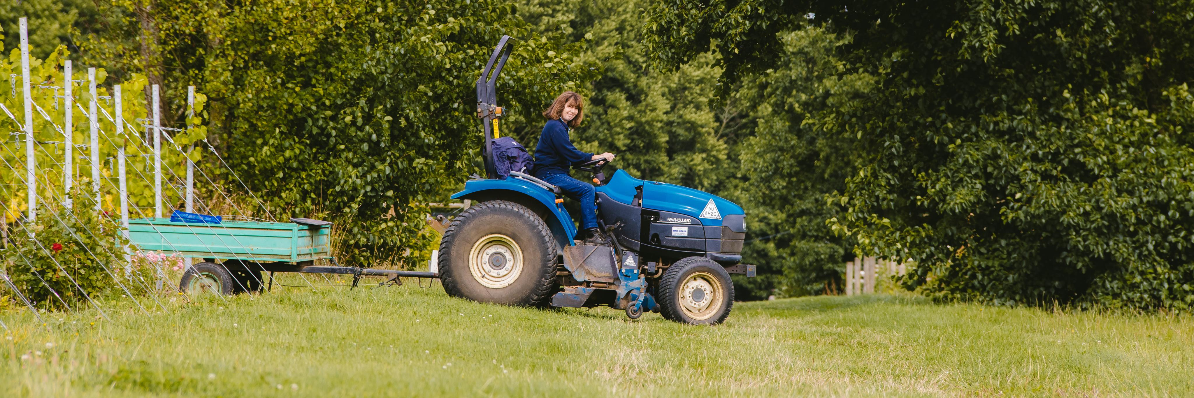 Cobbs Farm Shop banner