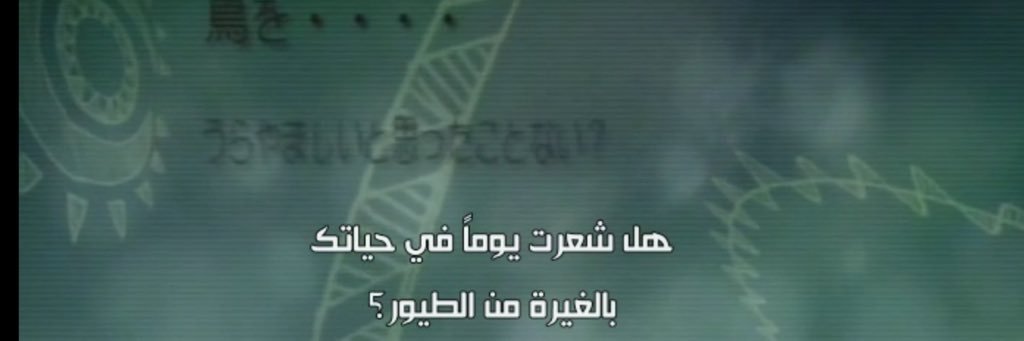 amaalfd's profile banner image