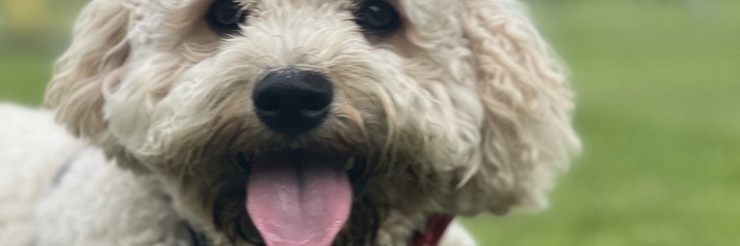 LewCraig's profile banner image