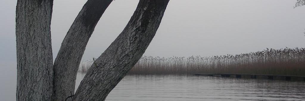 barissiginc's profile banner image