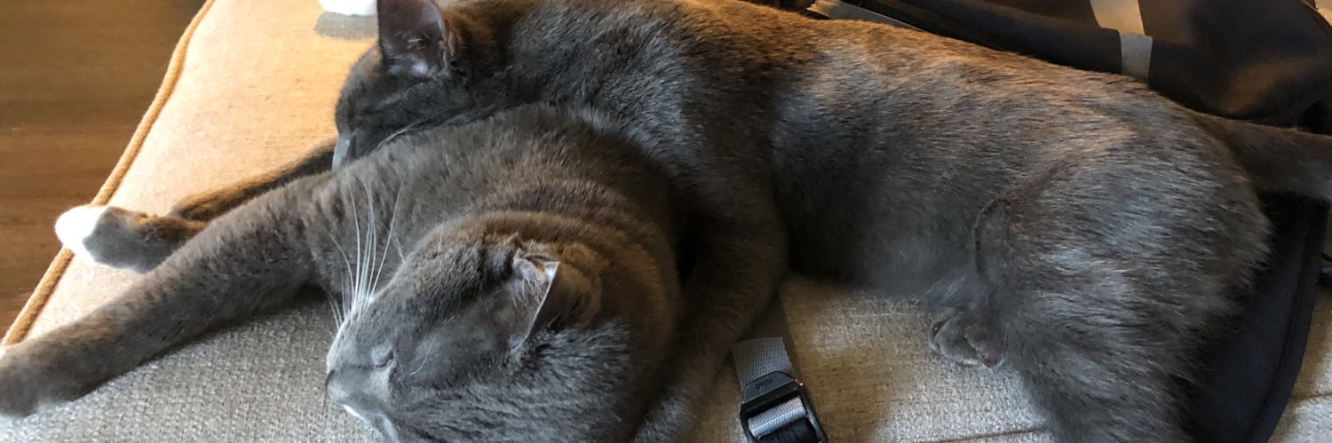 originalcarol's profile banner image