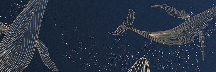 mOlly_Lestrange's profile banner image