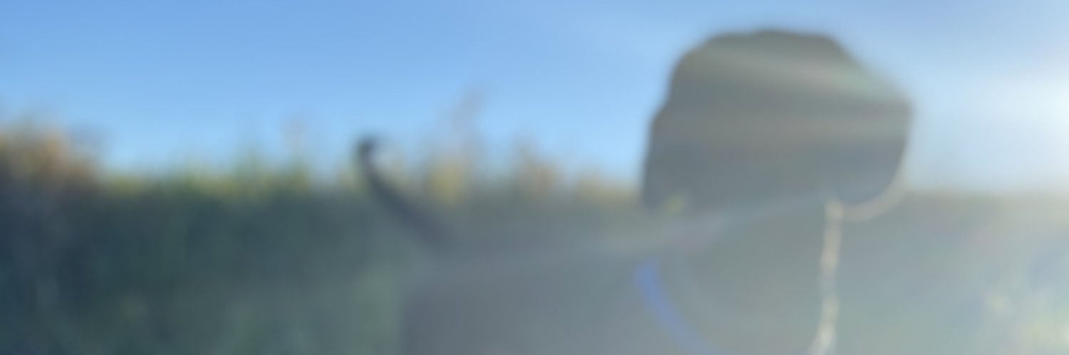 LauraSanGa's profile banner image