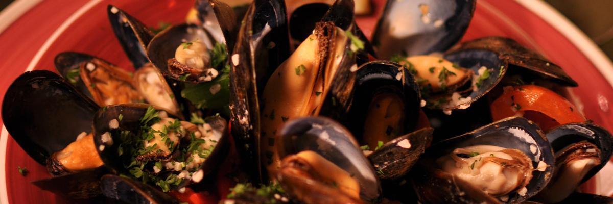 OttVinebar's profile banner image