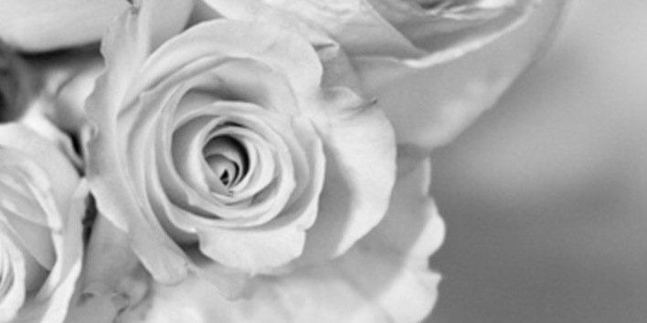 LaiceWyeth's profile banner image