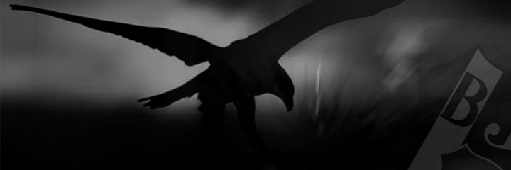 ukiremitci's profile banner image
