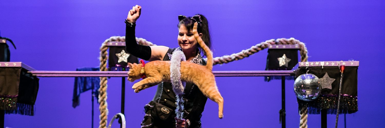 The Amazing AcroCats banner