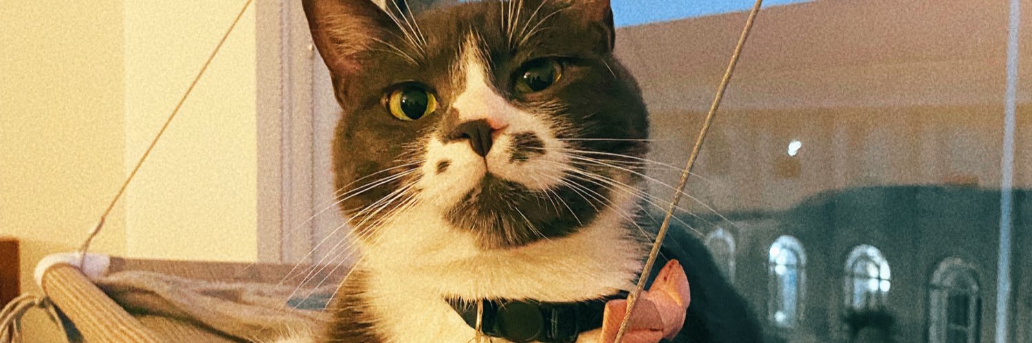 itjheu's profile banner image