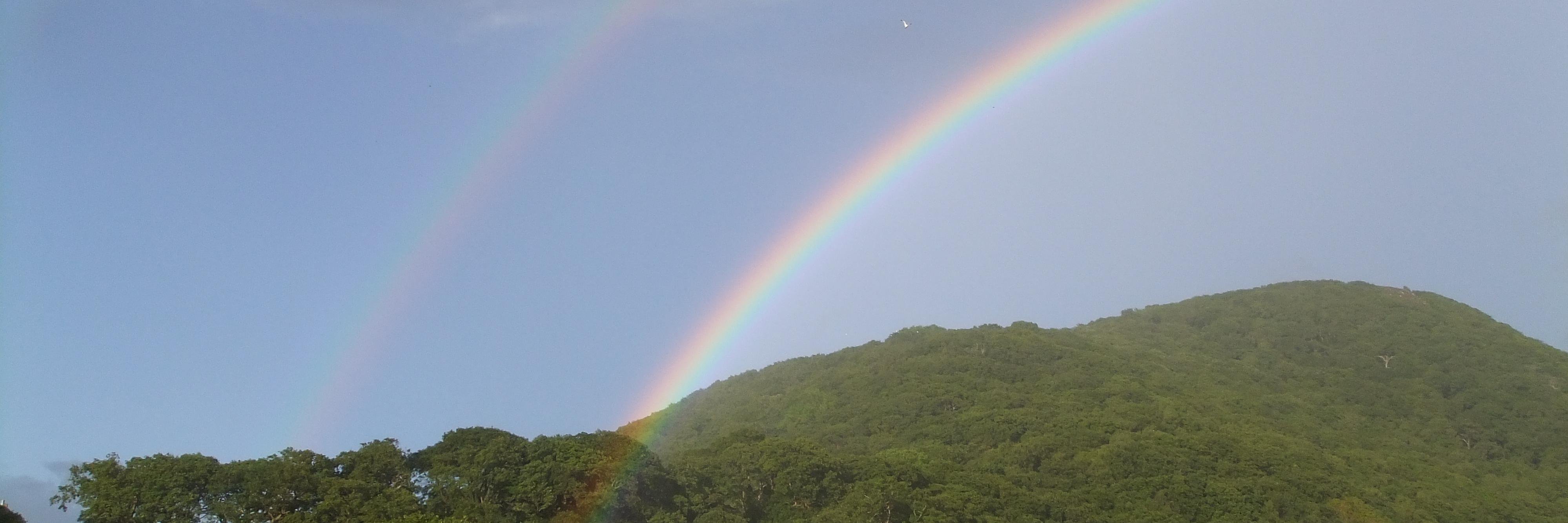 Helen Godbold-Eade banner