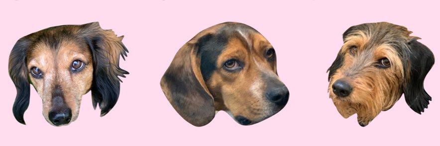 SunnieKatherine's profile banner image