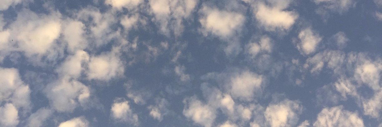 imdianaruizz's profile banner image