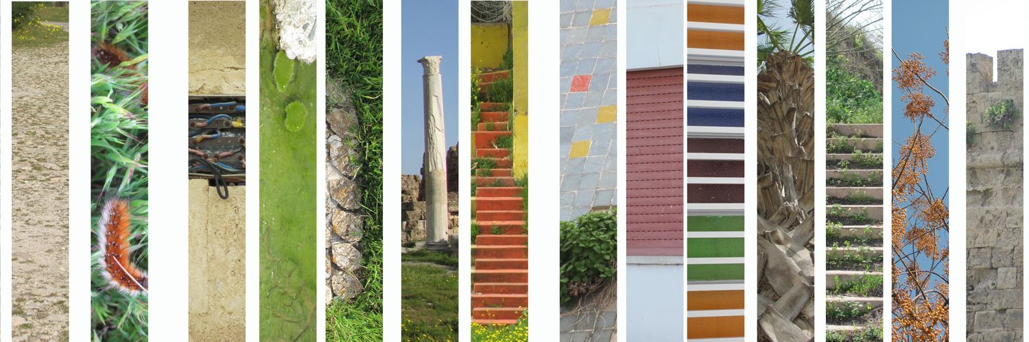 burcukircan's profile banner image