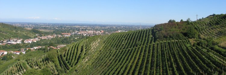 monterucco's profile banner image