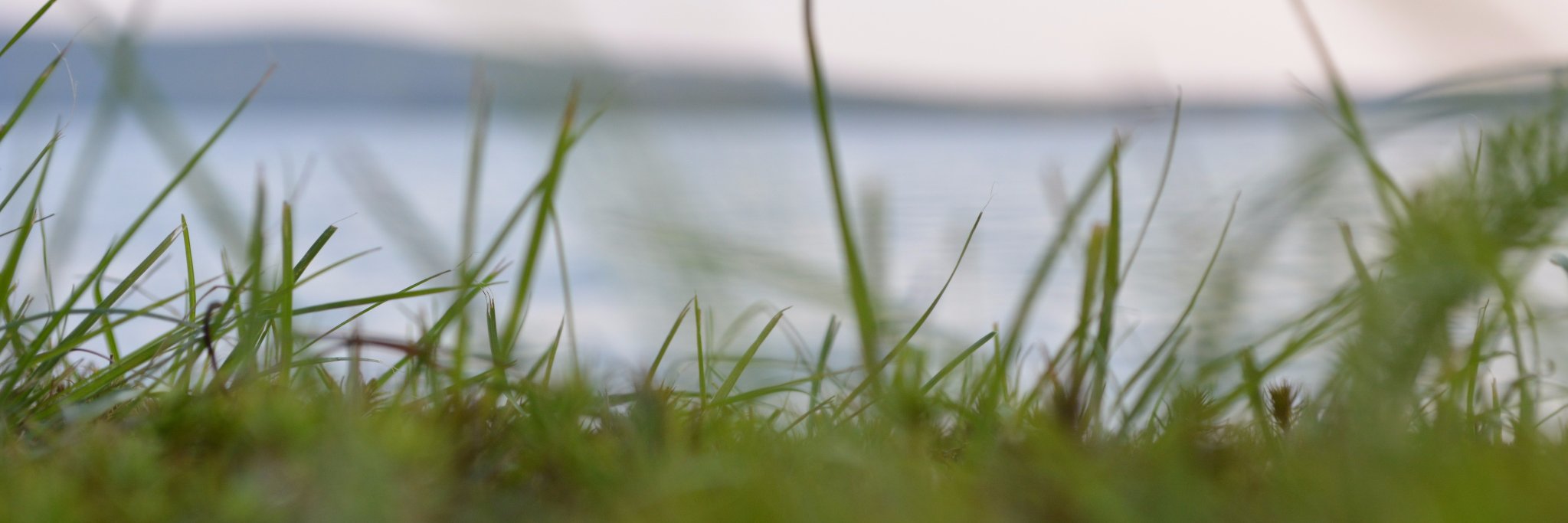 Angela_Bosse's profile banner image