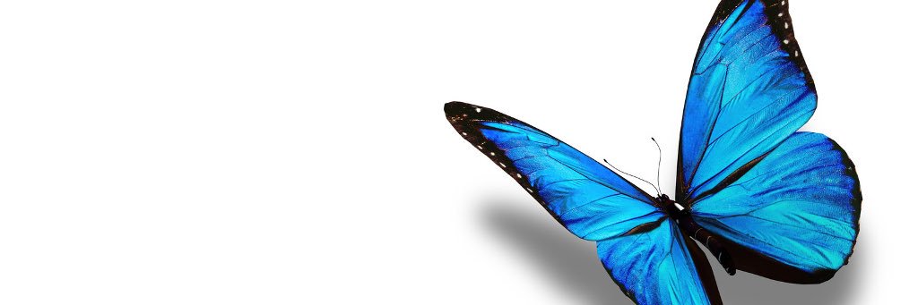 MaxineAvi_'s profile banner image