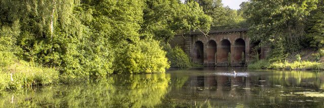 Idris Harding banner