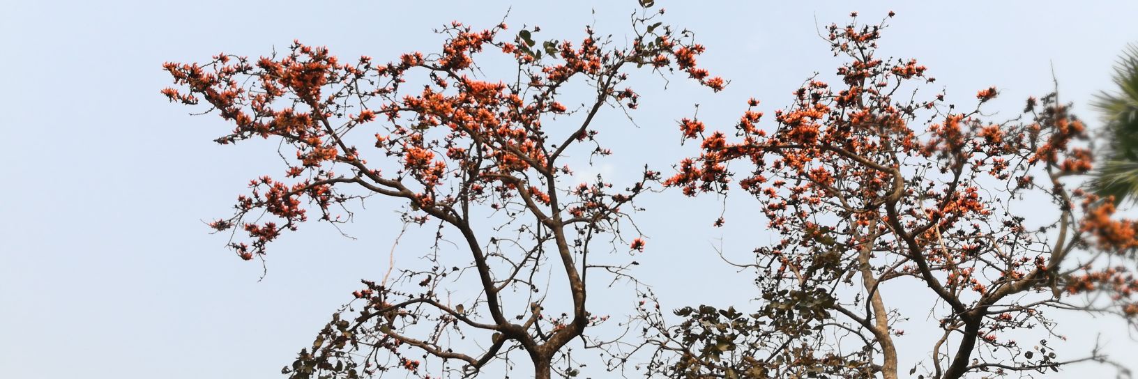 BhaskarVBGeo's profile banner image