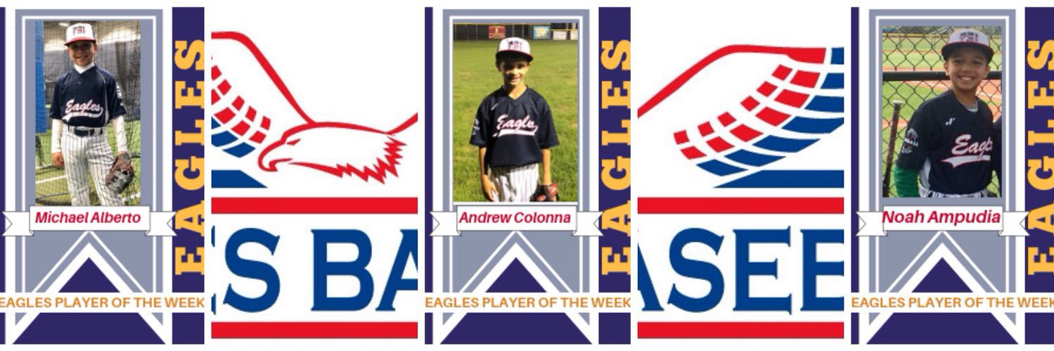 Eagles Baseball Association banner