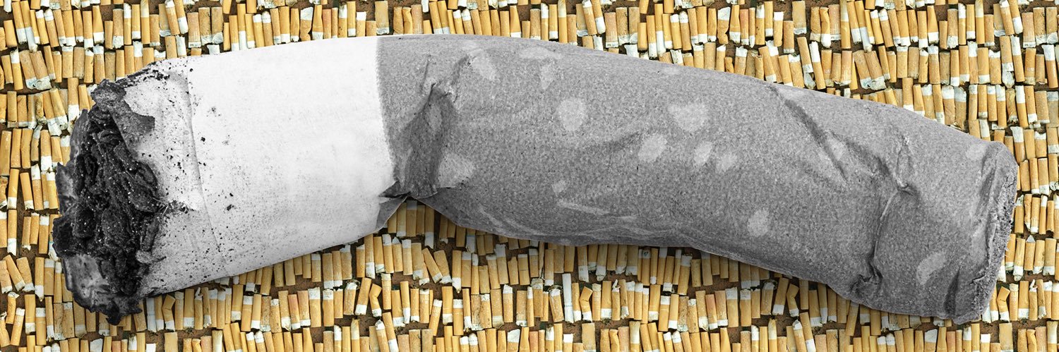 Settimio Benedusi banner