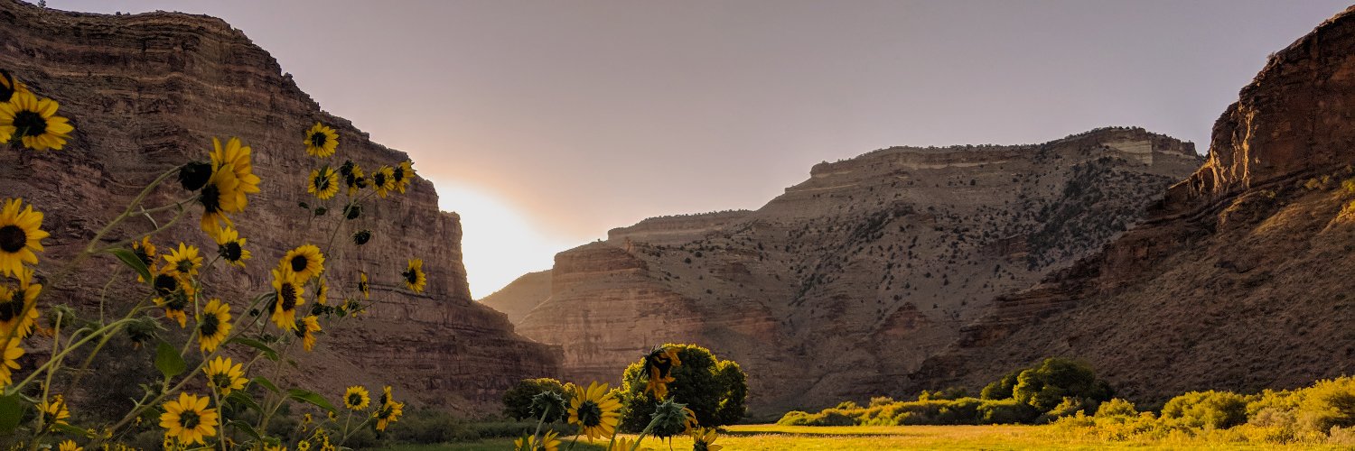 upaconline's profile banner image