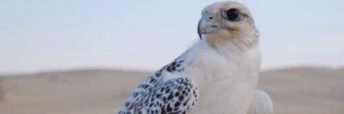 b7r_alkrm's profile banner image