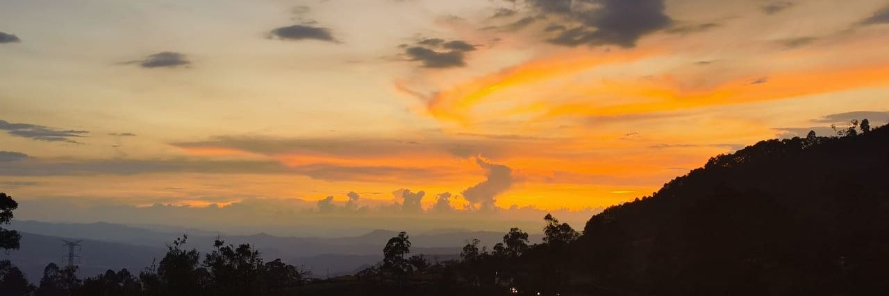 migdrums's profile banner image