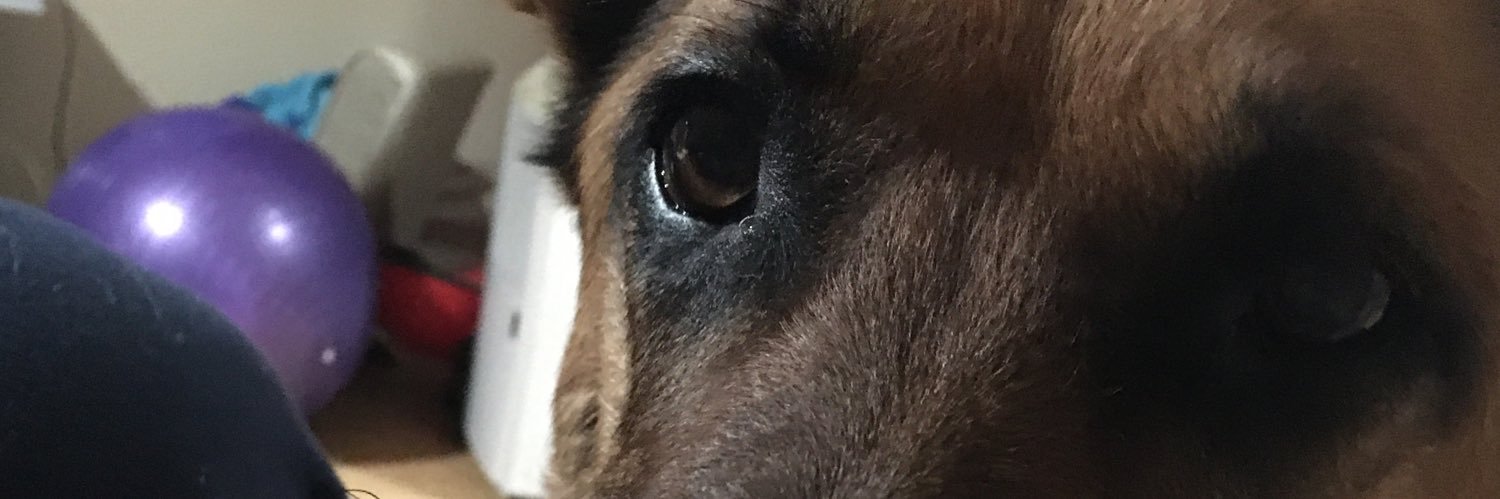 ChaseDaddy2011's profile banner image
