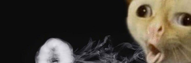 boudonnet1's profile banner image